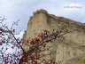 white rock4.JPG - 